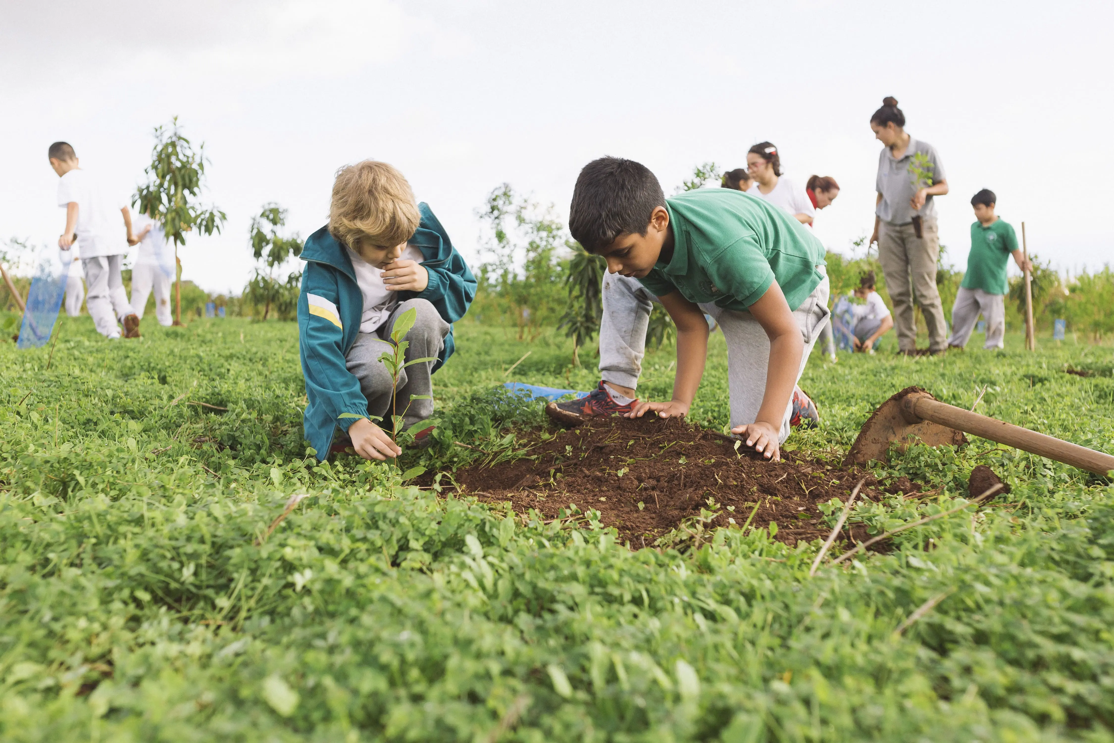 Fundación Disa Educativo