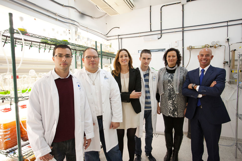 Becas Fundación DISA de Innovación Energética