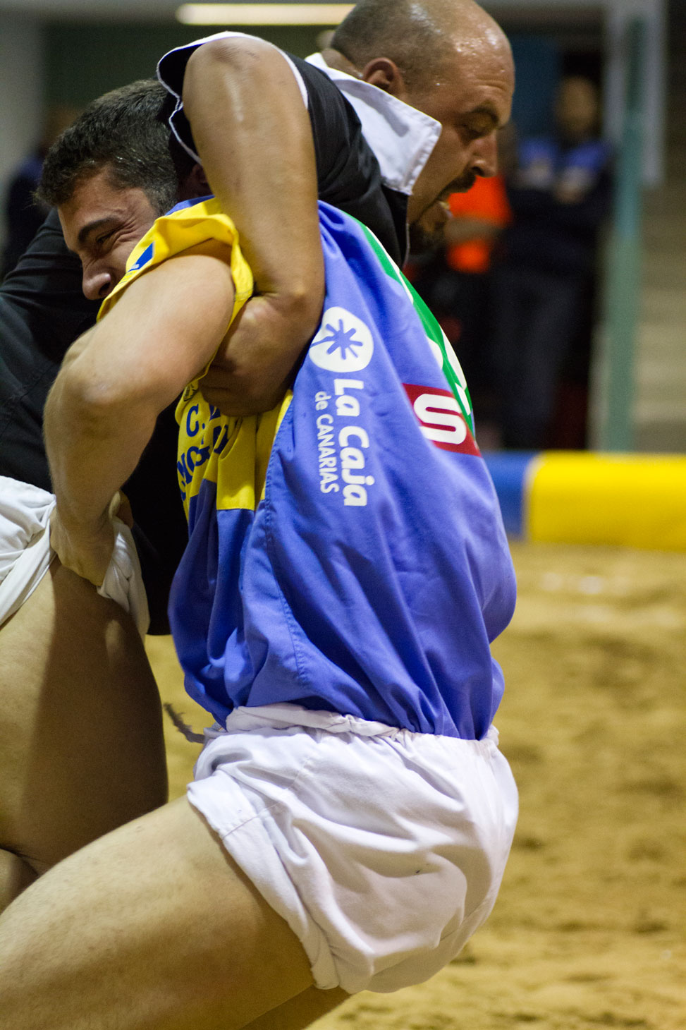 Liga DISA Gobierno de Canarias de Lucha Canaria