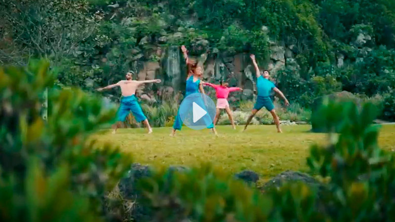 Ver vídeo Ver vídeo